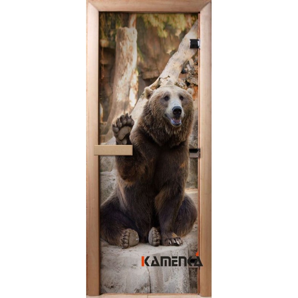 Дверь с фотопечатью A061